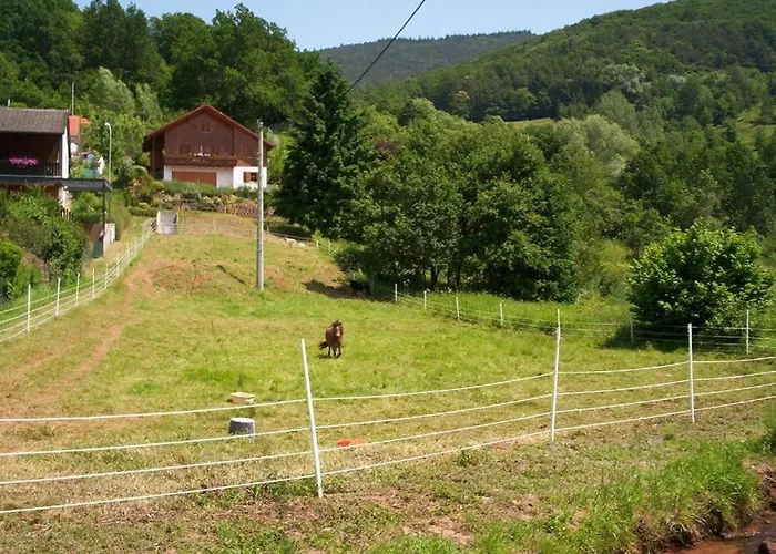 Pensjonat Zum Belzenikel 2*